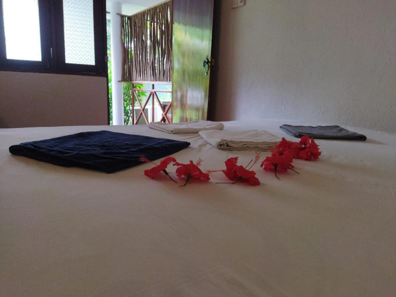 Lion Paradise Surf Beach Матара Номер фото